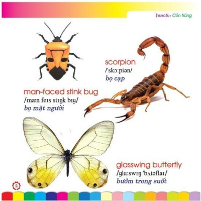 Sách - Em Học Tiếng Anh Qua Hình Ảnh - Côn Trùng - Hồng Ân