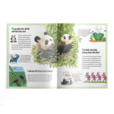  Em muốn biết vì sao (Bộ mới) - Kangaroo có túi và những câu hỏi khác về con non