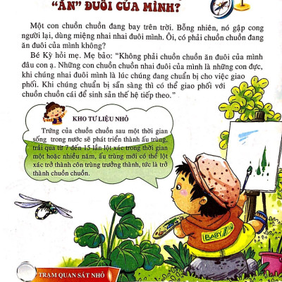 10 Vạn Câu Hỏi Vì Sao - Những Loài Và Vật Biết Bay