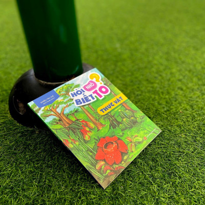 Sách Hỏi nhỏ biết to - Thực Vật