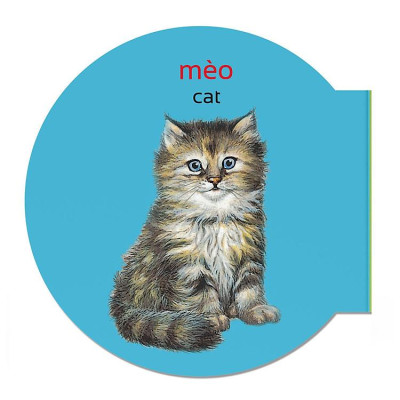 Picture Dictionary - Từ điển bằng hình