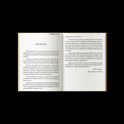 Sách Bạn Đang Bận Việc Gì - Sách Tôn Giáo, Nghệ Thuật và Văn Hóa, Tác Giả KHENPO SODARGYE - Hiệu Sách GenBooks, bìa mềm, in màu