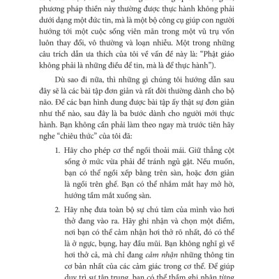 Thiền Cho Người Năng Động Và Hoài Nghi