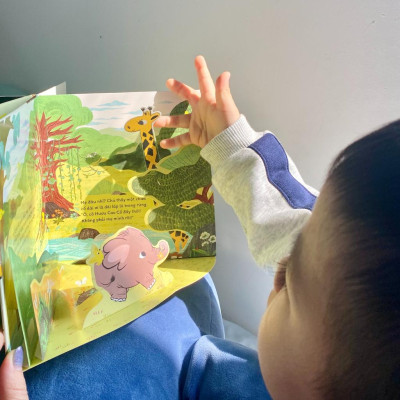 Sách Voi con tìm mẹ (Bìa cứng) - Nhã Nam - BẢN QUYỀN