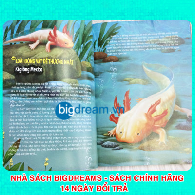 Sách - Khám Phá Thế Giới Động Vật Kì Thú - Thế giới của các thiên thần đáng yêu - Kiến thức bách khoa cho trẻ