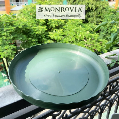 Đĩa lót chậu nhựa trồng cây Monrovia chậu trồng cây, chậu cây cảnh mini, để bàn, treo ban công, treo tường, chính hãng