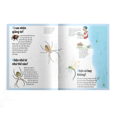  Em muốn biết vì sao (Bộ mới) - nhện giăng tơ và những câu hỏi khác về các loài côn trùng