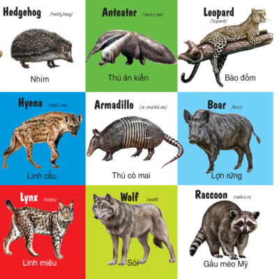 Sách - 100 Từ Đầu Tiên - Các Loài Động Vật - Song Ngữ (VT)