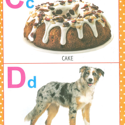 My First Early Learning - Alphabet Book (Bài học đầu tiên của tôi - Sách về bảng chữ cái)