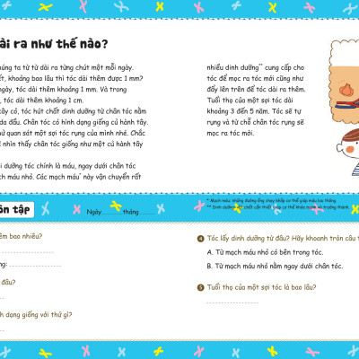 Bồi Dưỡng Kĩ Năng Đọc Hiểu Cho Học Sinh Tiểu Học