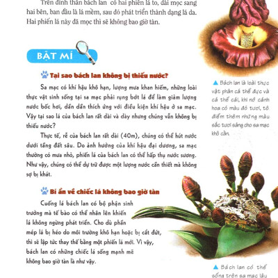 Khám Phá Bí Ẩn Thế Giới Tự Nhiên Dành Cho Học Sinh : Sinh Vật _ML