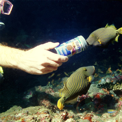 Thức ăn cá biển JBL MariPearls hạt chìm dinh dưỡng cá nước mặn