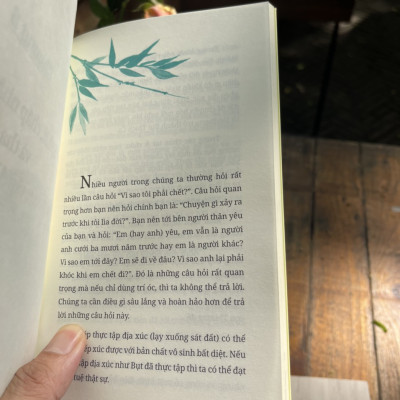 (Tái bản lần thứ 7) KHÔNG DIỆT KHÔNG SINH ĐỪNG SỢ HÃI – Thích Nhất Hạnh – Chân Huyền dịch -Saigon Books -NXB Thế Giới