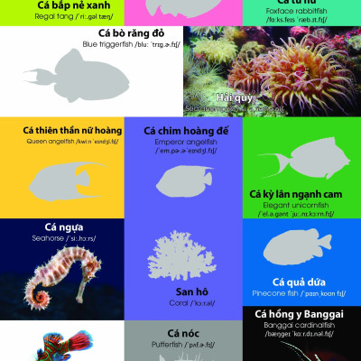 Dán hình nhận biết động vật - Động vật biển