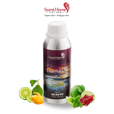 Tinh dầu Scent Homes - mùi hương (Canteer Bell)