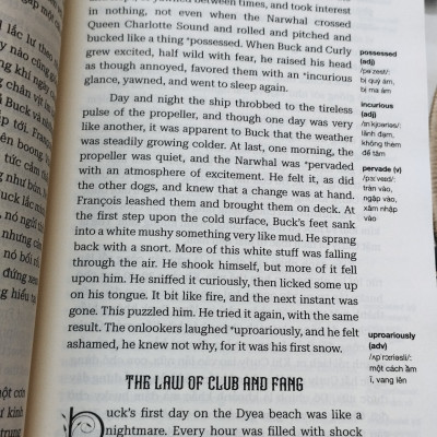 (Sách song ngữ Việt – Anh) TIẾNG GỌI NƠI HOANG DÃ – Jack London – Nguyễn Thúy Loan dịch – Hà Giang – NXB Dân trí