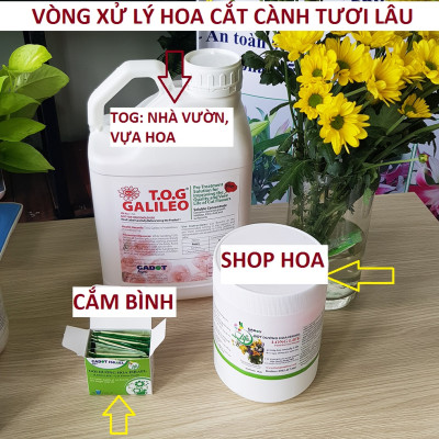 Shop Hoa Bảo Quản Hoa Cắm Lẵng, Hoa Cắm Xốp lâu tàn và hạn chế thay hoa định kỳ bằng Bột Dinh Dưỡng Hoa nhập khẩu Israel hiệu Longlife SG Của Israel (Thùng 5KG Bột Dưỡng Hoa Israel)