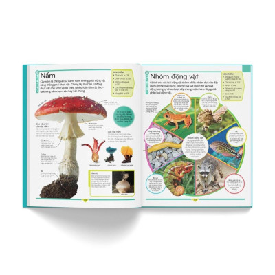 Sách - Bách Khoa Thư Trẻ Em - Cuốn Sách Lí Giải Vạn Vật - Bìa cứng - Đông A