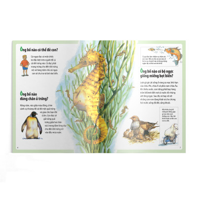  Em muốn biết vì sao (Bộ mới) - Kangaroo có túi và những câu hỏi khác về con non