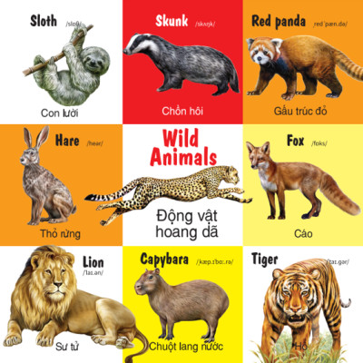 Sách - 100 Từ Đầu Tiên - Các Loài Động Vật - Song Ngữ (VT)