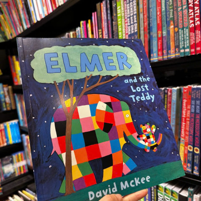 Sách - Elmer and the Lost Teddy - Sách ngoại văn, sách thiếu nhi tiếng Anh, bìa mềm, nhập khẩu UK