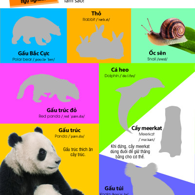 Dán Hình Nhận Biết Động Vật - Những Loài Vật Dễ Thương (Song Ngữ Việt-Anh)