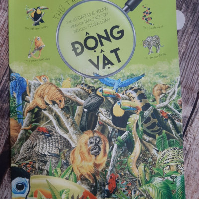 Combo 6 cuốn: Thử Tài Tìm Kiếm