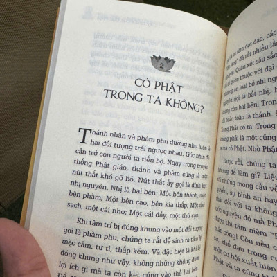 TÂM PHẬT - Nghệ Thuật Mê Lầm – Đinh Thanh Tùng – Thái Hà – NXB Thế Giới