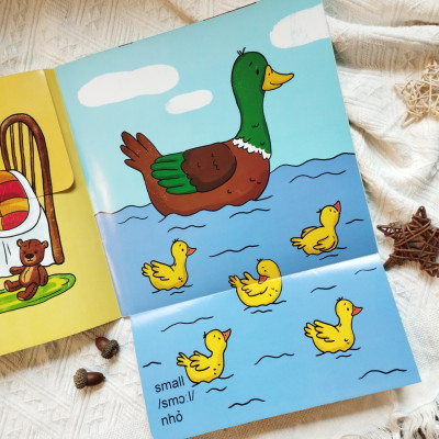 Sách lật mở khám phá - Từ trái nghĩa