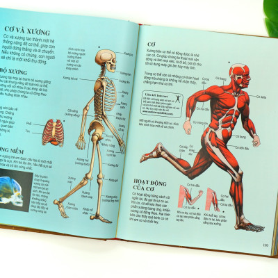 Bách khoa tri thức dành cho trẻ em (Usbone) - Đinh Tị Books