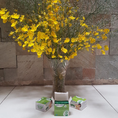 Set 2kg Dung Dịch Xử Lý Hoa Lan Vũ Nữ Tươi Lâu Longlife SG Israel - Food For Cut Flower (1kg pha được 100L dung dịch) là dung dịch trong TIP Nhựa bảo quản Hoa Lan Vũ Nữ cắt cành tươi lâu