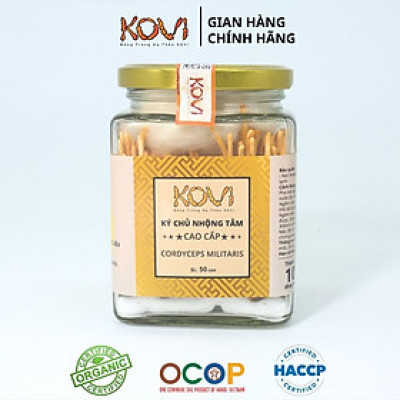 Đông trùng hạ thảo KOVI ký chủ nhộng tằm nguyên con cao cấp | 50 con | Đẹp đẳng cấp sang trọng