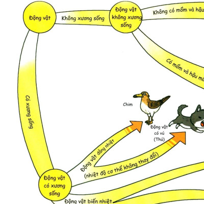 Khám Phá Thế Giới Động Vật 10+