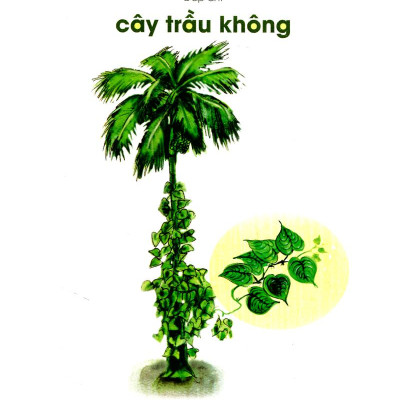 Sừng Sững Mà Đứng Giữa Đường