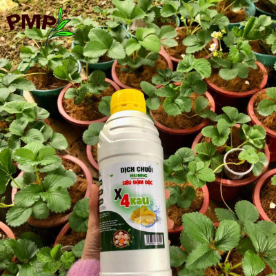 Combo Phân Bón Hữu Cơ Cho Cây Ăn Quả 1 Tricow và 1 Dịch Chuối x4 Kali