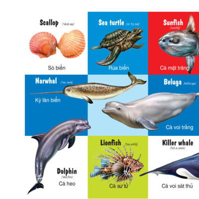 Sách - 100 Từ Đầu Tiên - Các Loài Động Vật - Song Ngữ (VT)