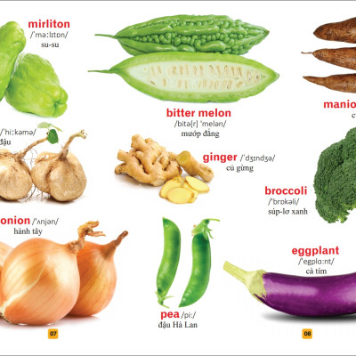 Sách: Từ Điển Tranh Về Rau - Củ - Quả - Hoa (Bìa Cứng)