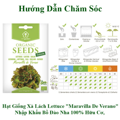 Set 6 Hạt Giống Hữu Cơ Xà Lách Nhập Khẩu Bồ Đào Nha 100% Ogranic, hiệu Minigarden Lettuce - Maravilla De Verano (Túi từ 1.500 - 2.100 hạt) Tỷ lệ nảy mầm cao