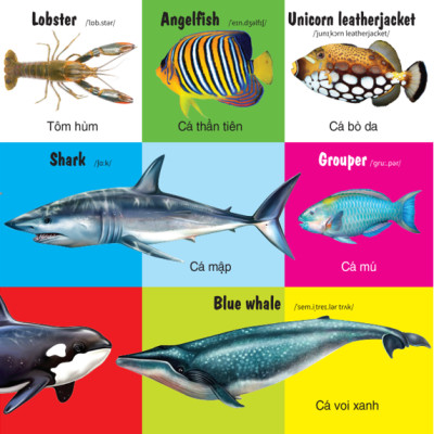 Sách - 100 Từ Đầu Tiên - Các Loài Động Vật - Song Ngữ (VT)