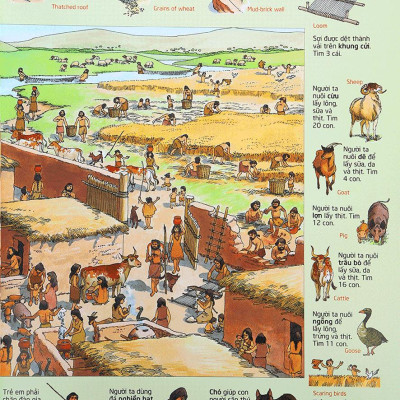 Thử Tài Tìm Kiếm - Lịch Sử (Tái Bản 2023)