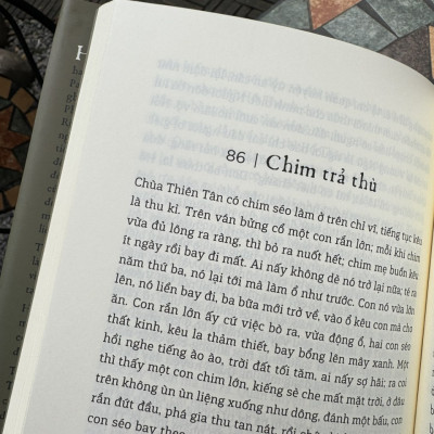 (Bìa cứng) CHUYỆN GIẢI BUỒN - Huỳnh Tịnh Của - NXB Trẻ