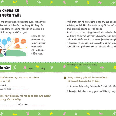 Bồi Dưỡng Kĩ Năng Đọc Hiểu Cho Học Sinh Tiểu Học