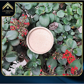 Lót ly gỗ tự nhiên , gỗ MDF phủ melamine chống nước bề mặt