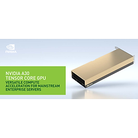 GPU NVIDIA A30 24GB CoWoS HBM2 PCIe 4.0-- Passive Cooling - Hàng Chính Hãng