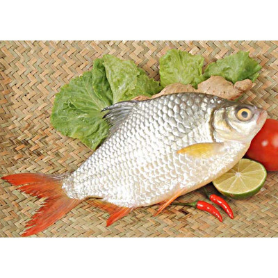 Đặc sản An Giang -CÁ MÈ VINH KHO LẠT đóng hộp 210g ANTESCO - Ocop 4 Sao