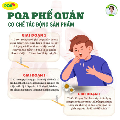 Siro Phế Quản PQA Thành Phần Từ Thiên Nhiên Giúp Bổ Phế, Ho Hộp 250ml