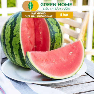 Hạt Giống Dưa Hấu Không Hạt Lai F1 Greenhome, Gói 5 Hạt, Dễ Trồng Quanh Năm, Nảy Mầm Cao, T27