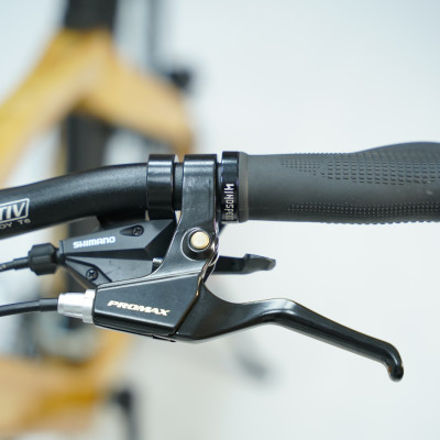 Xe đạp khung tre HayBike BamBoo