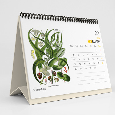 Lịch Bàn 2025 - Desk Calendar Nguyễn Trắc - Wild Flower and Herb
