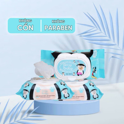 Khăn Giấy Ướt Cao Cấp Kháng Khuẩn, Không Mùi 650G